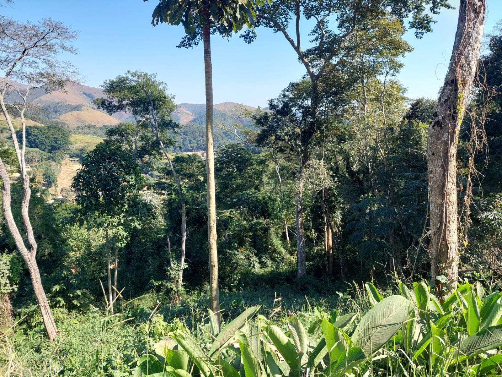 Terreno em Itaipava dentro de condomínio com vista deslumbrante