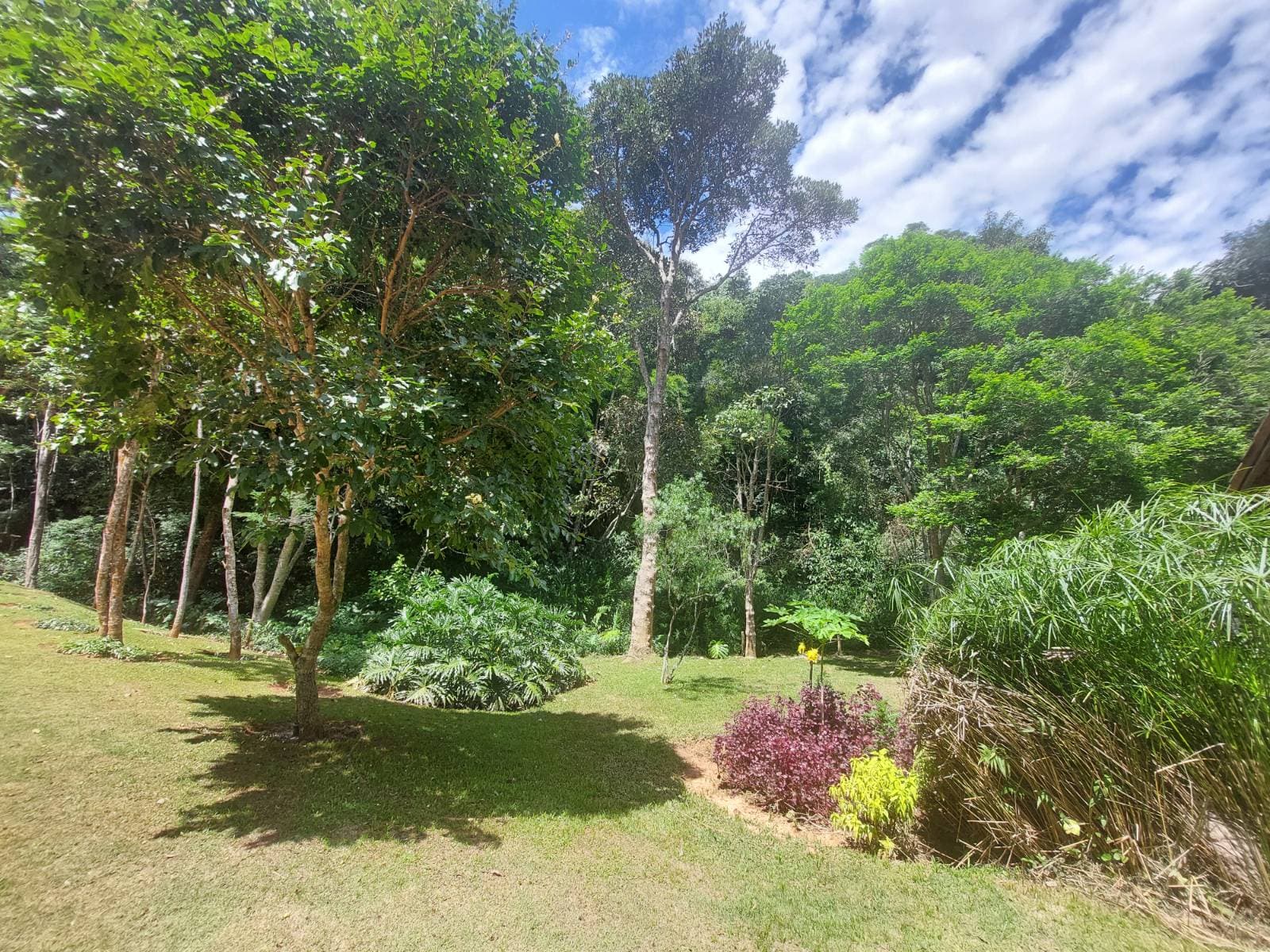 Terreno em Condomínio - Pedro do Rio, Petrópolis